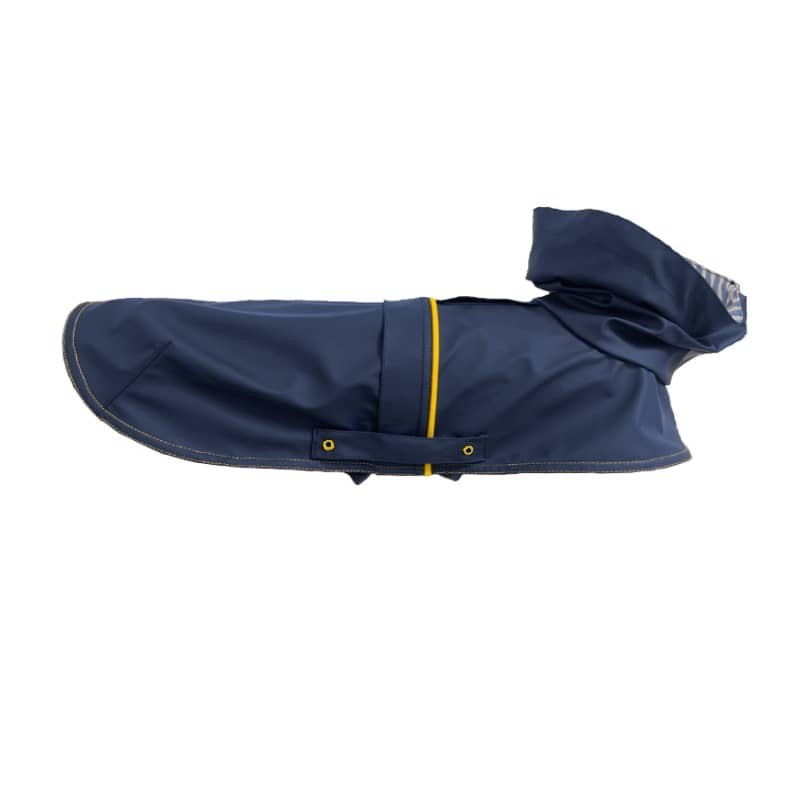 Tintin Blue dog raincoat