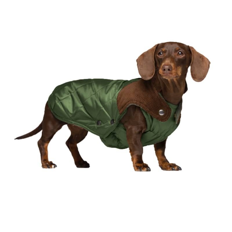 Abrigo impermeable Willy Olive