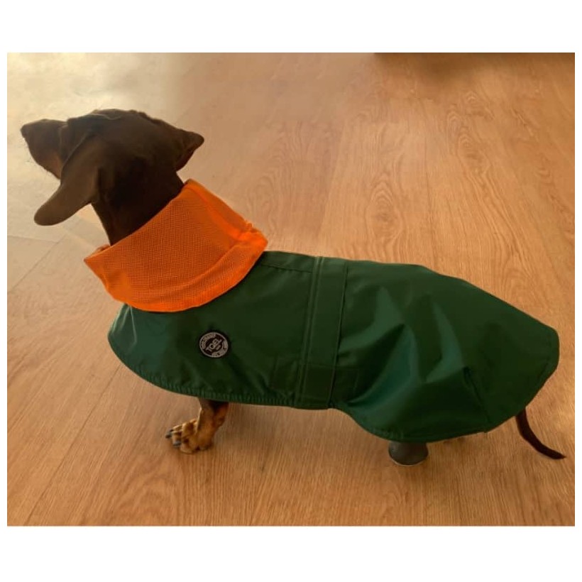 Chubasquero Tintin Air Green para perros teckel Chubasquero Tintin Air Green para perros teckel