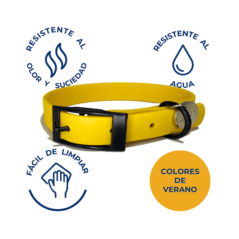 Collar impermeable Sunflower