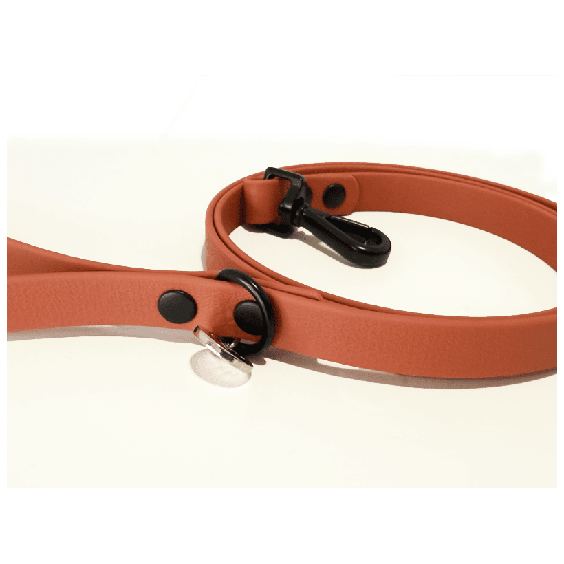 Correa impermeable Kiss Apricot para perros