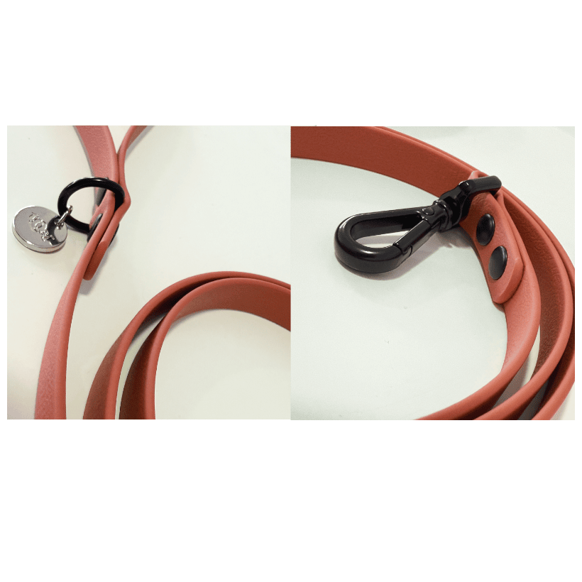 Correa impermeable Kiss Apricot para teckel