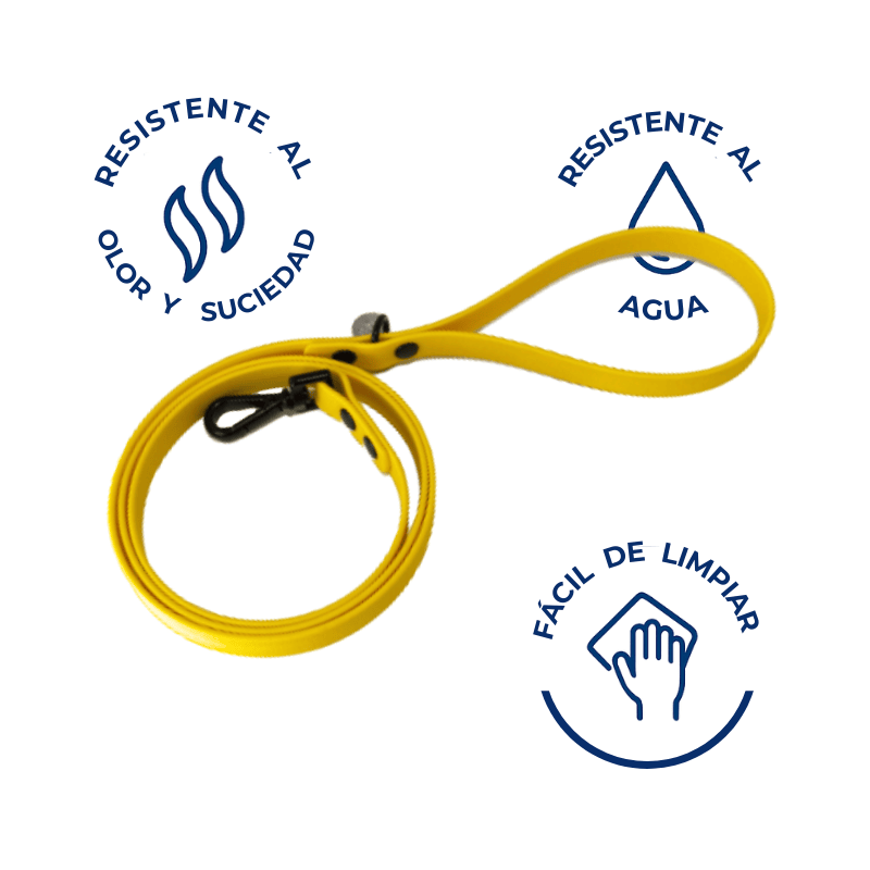 Correa impermeable Sunflower