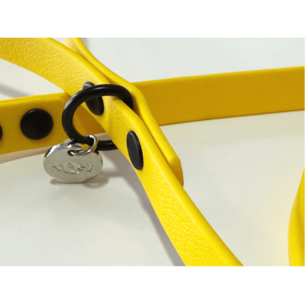 Correa impermeable Kiss Sun para teckel