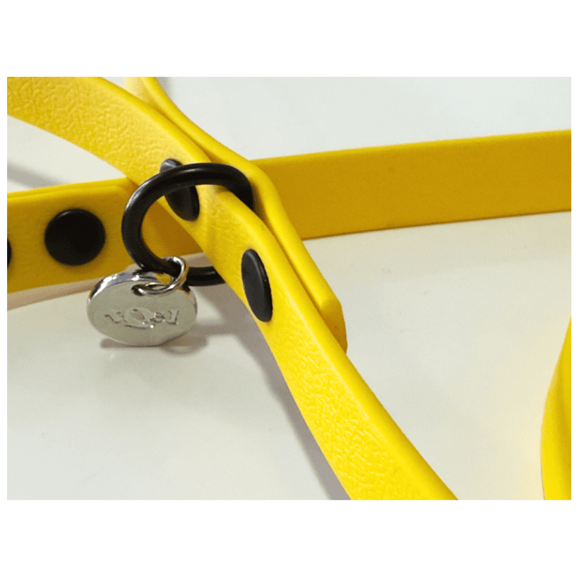 Correa impermeable Kiss Sun para teckel