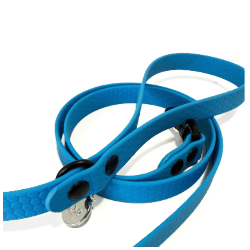 Correa impermeable Kiss Ski para teckel