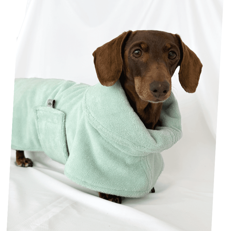 Albornoz Spa Mint para perros