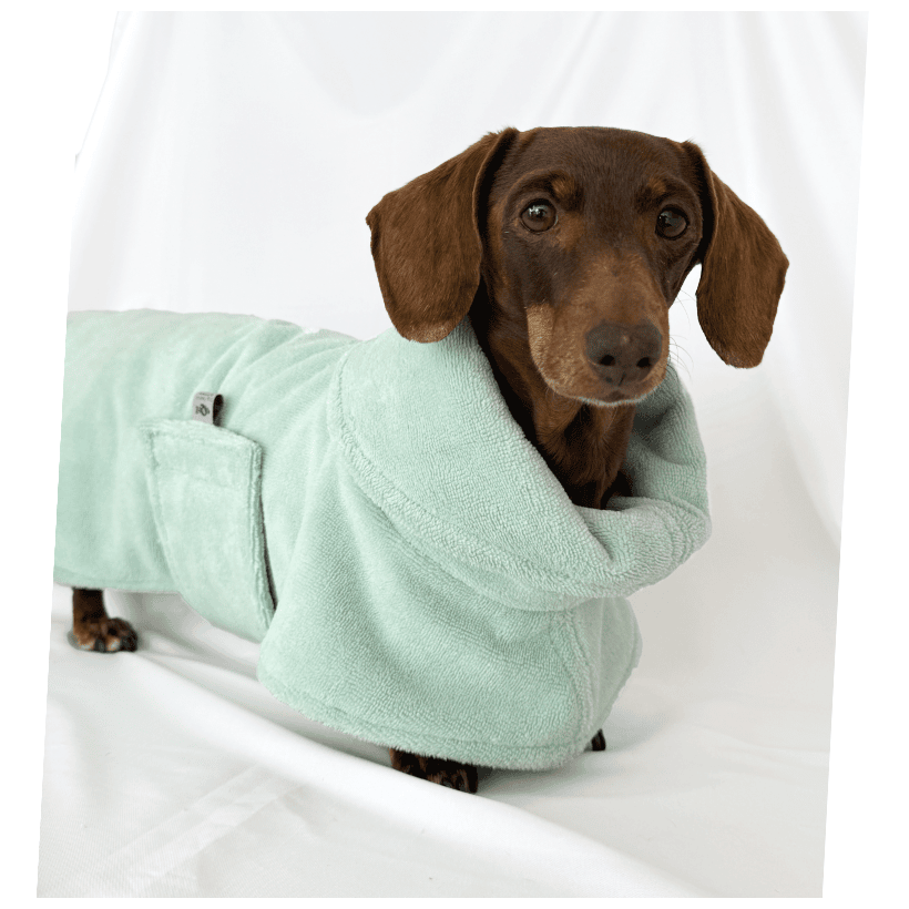Albornoz Spa Mint para perros