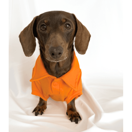 Polo Classic Orange para perros