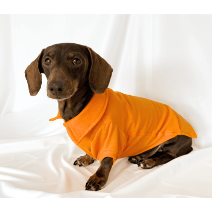 Polo Classic Orange para teckel