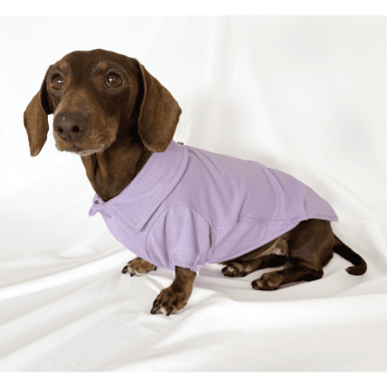 Polo Classic Lilac para teckel
