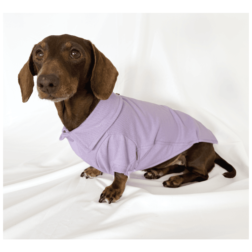 Polo Classic Lilac para teckel
