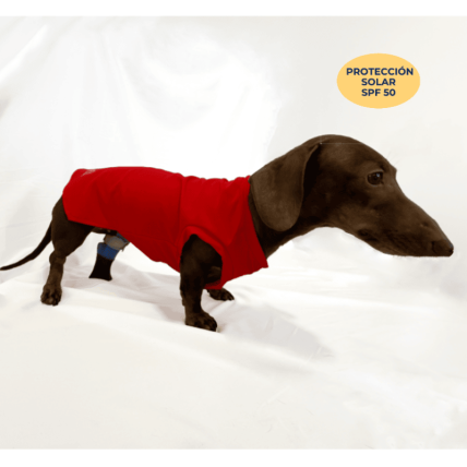 Camiseta protección solar para perros