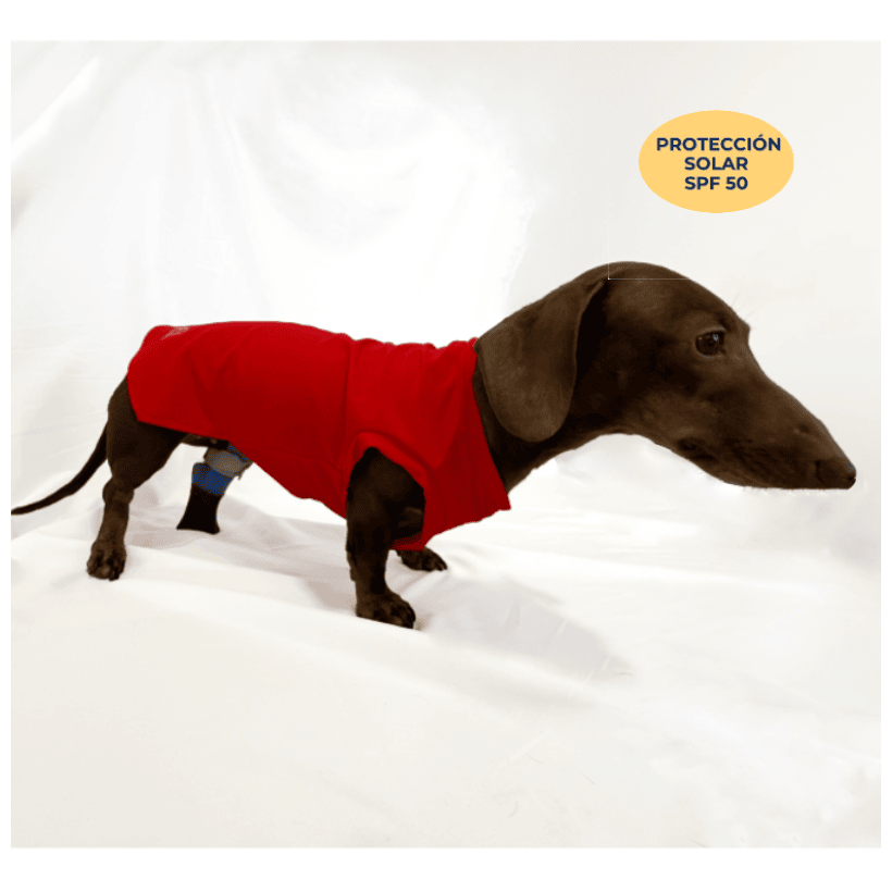 Camiseta protección solar para perros