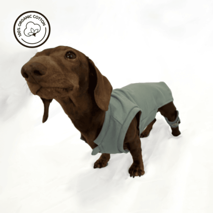 Camiseta organica para perros
