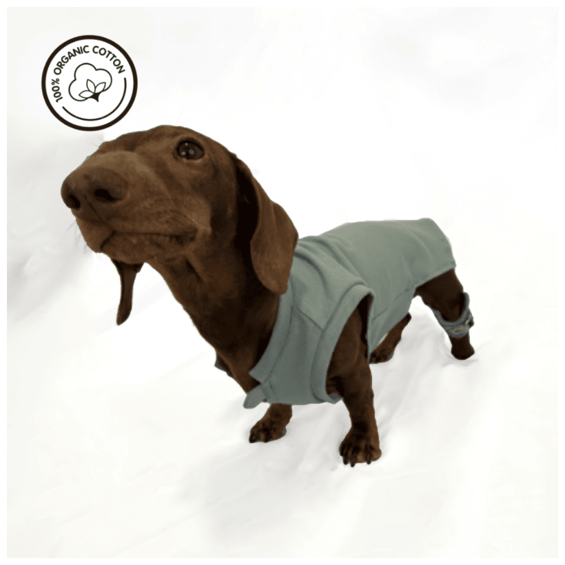 Camiseta organica para perros