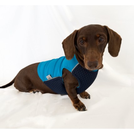 Chaleco refrescante para teckel