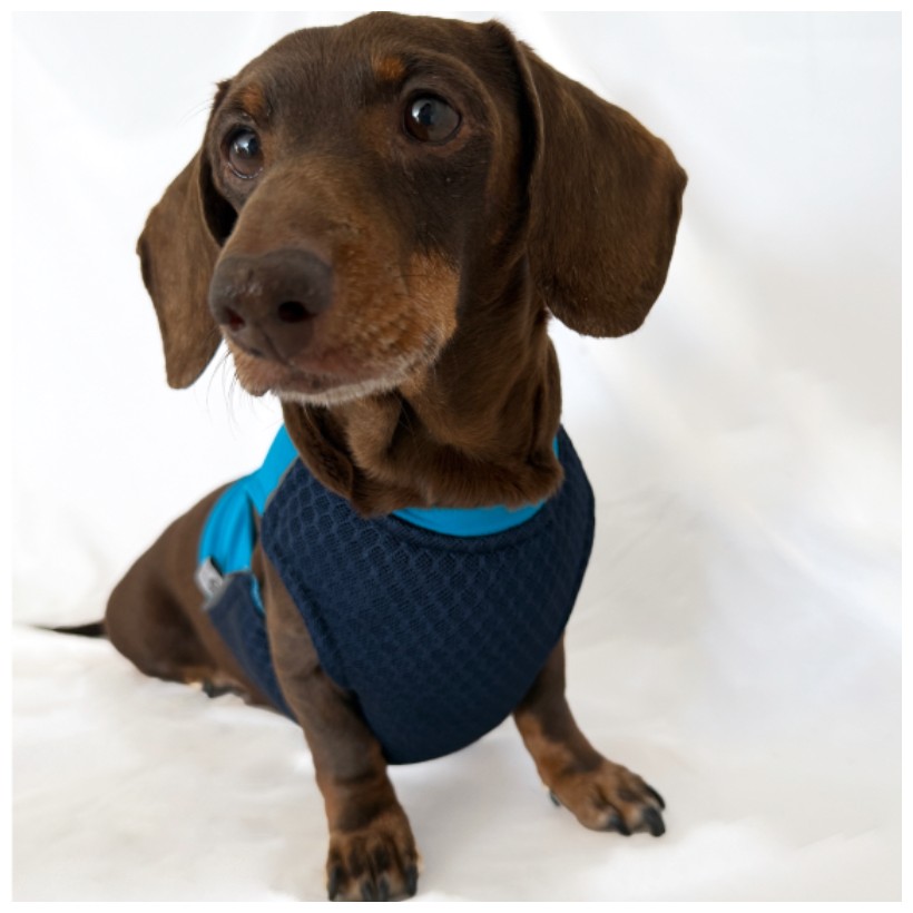 Chaleco refrescante perros