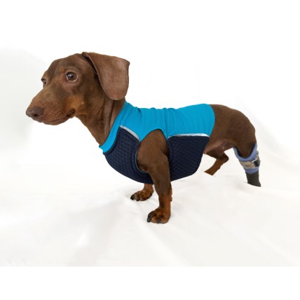 Chaleco contra el calor para perros