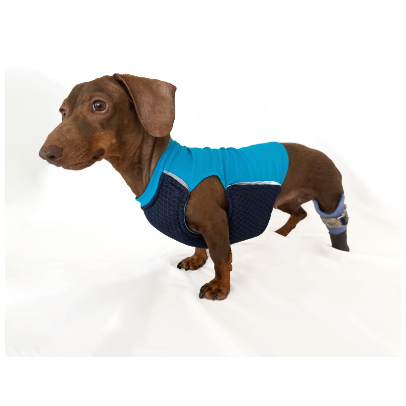 Chaleco contra el calor para perros