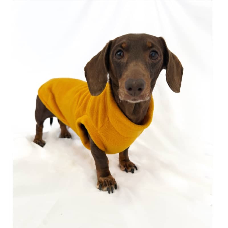 Abrigo polar Alaska Mustard