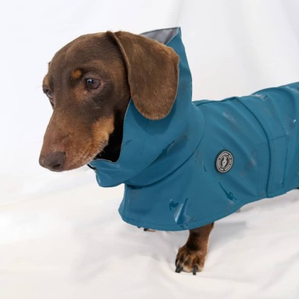 chubasquero para perros medianos