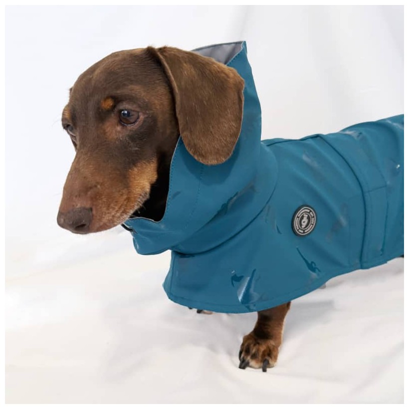 chubasquero para perros medianos