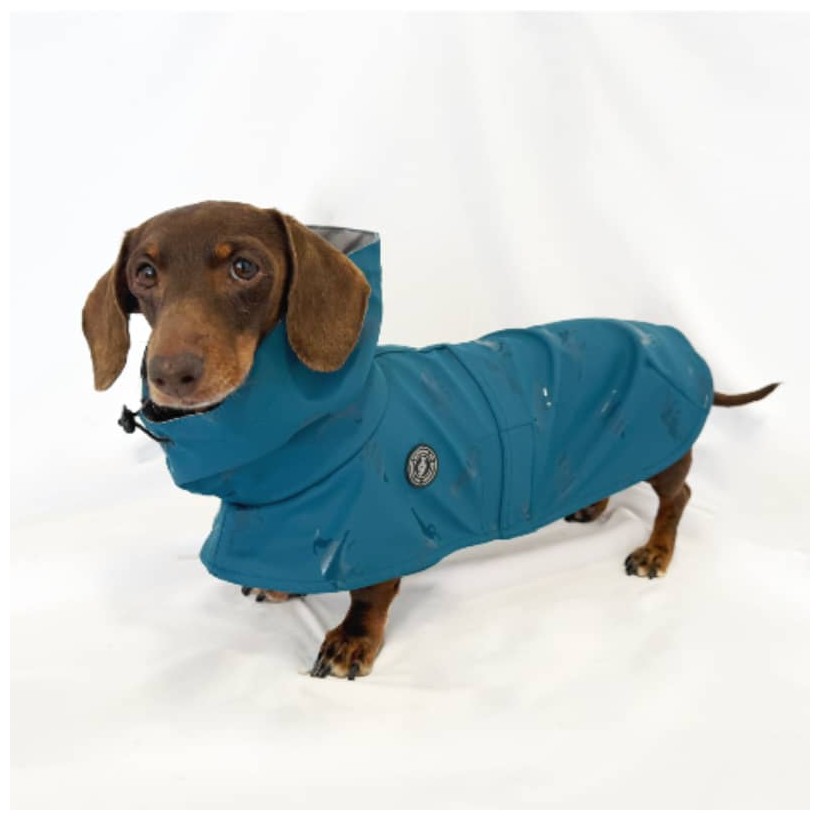 chubasquero para perros salchicha