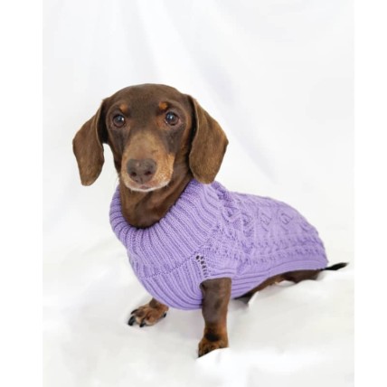 Jersey para perros lavanda