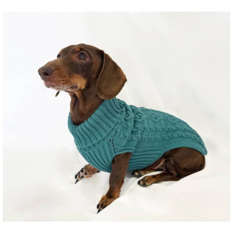 Jersey para perros teckel