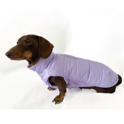 Plumas para perros tqel