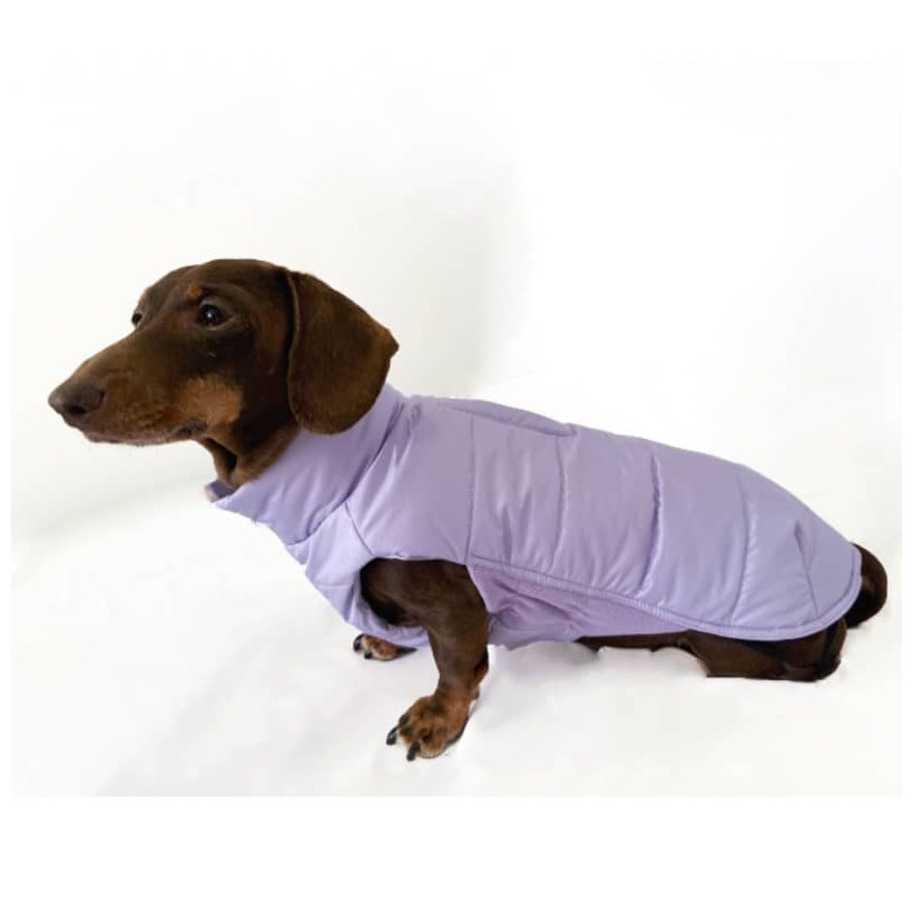 Plumas para perros tqel
