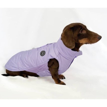 Plumas para perros salchicha