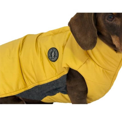 Plumas para perros pequeños