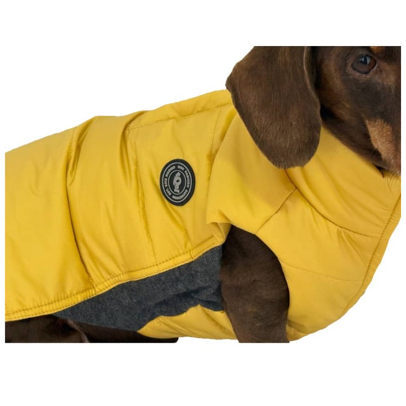 Plumas para perros pequeños