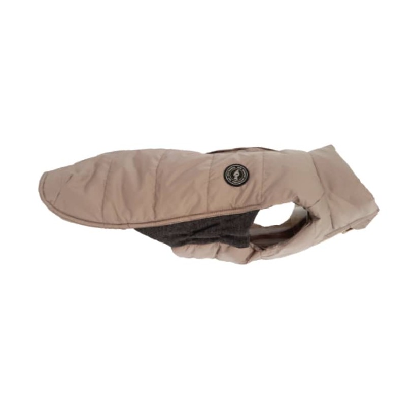 Plumas para perro mediano