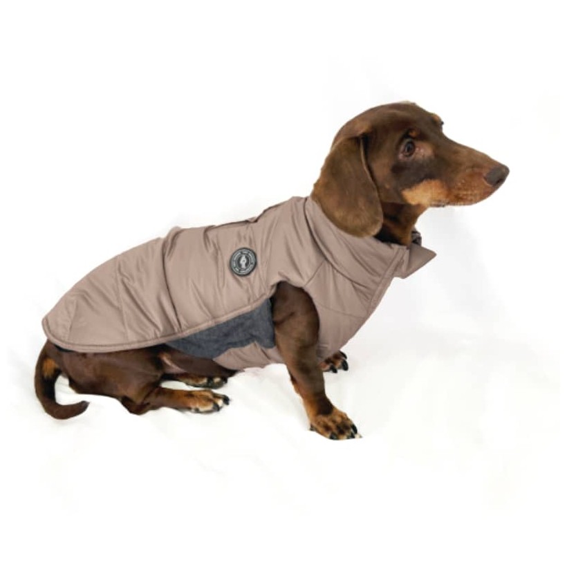 Plumas para perro salchicha