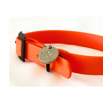 collar perro pequeño neon