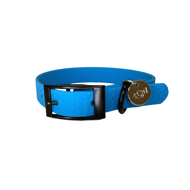 collar azul para perros