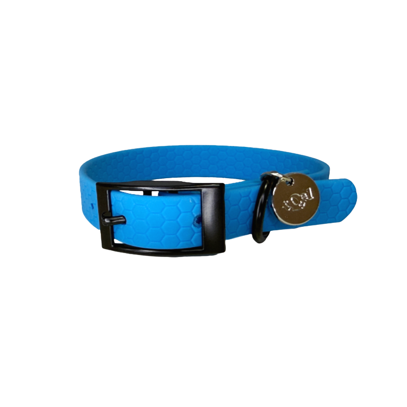 collar azul para perros