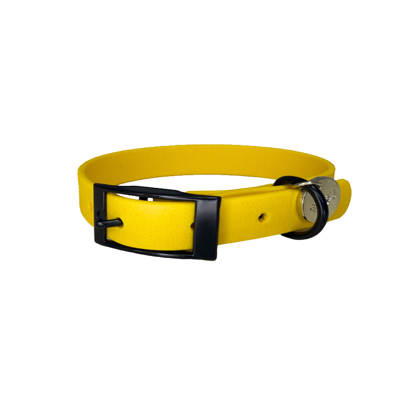 Collar impermeable amarillo perros