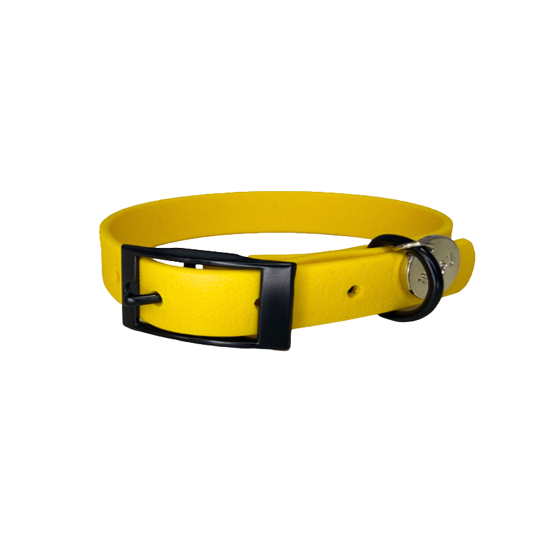 Collar impermeable Sunflower