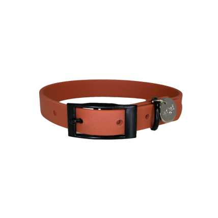 Collar para perros