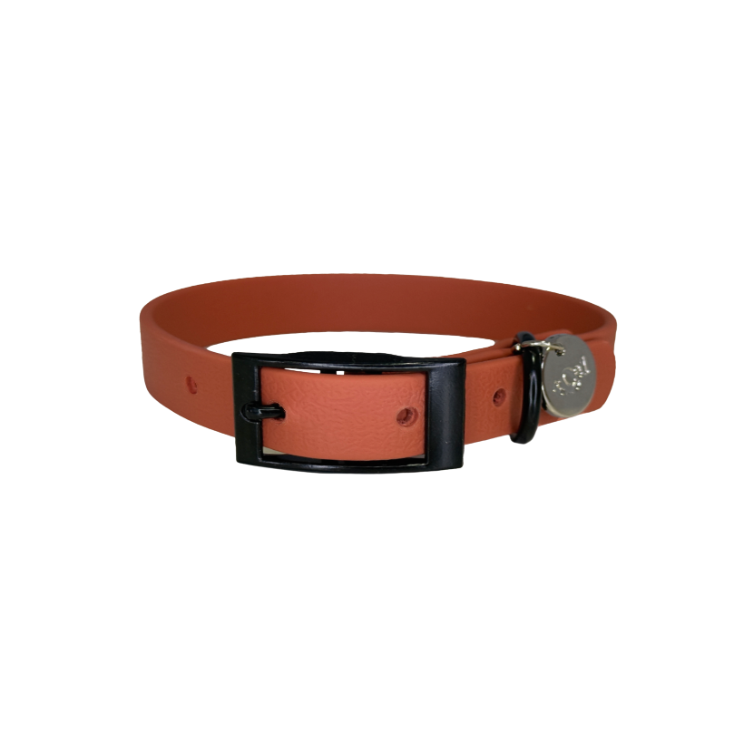 Collar para perros