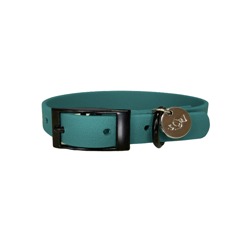 collar para perros verde impermeable