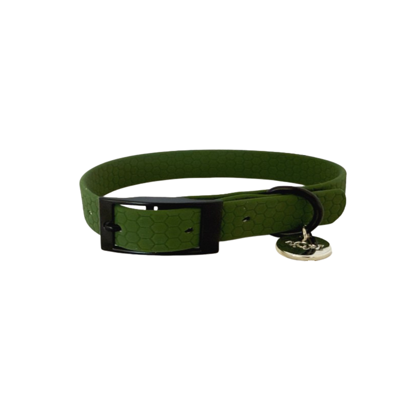 Collar para perros verde