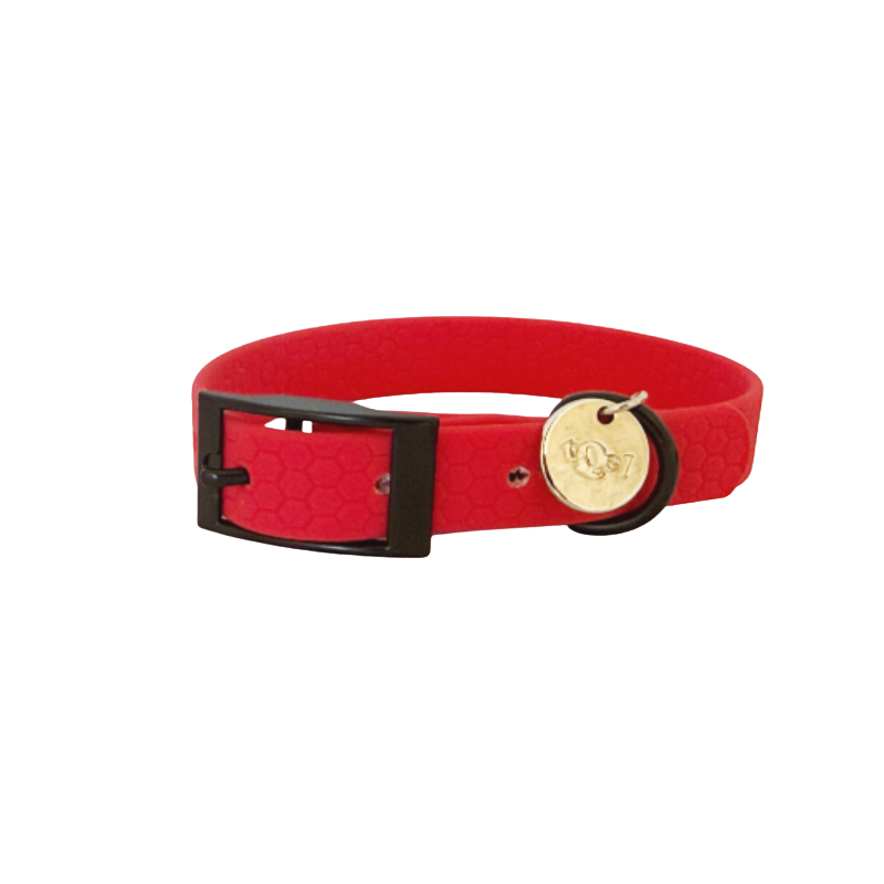 collar para perros rojo
