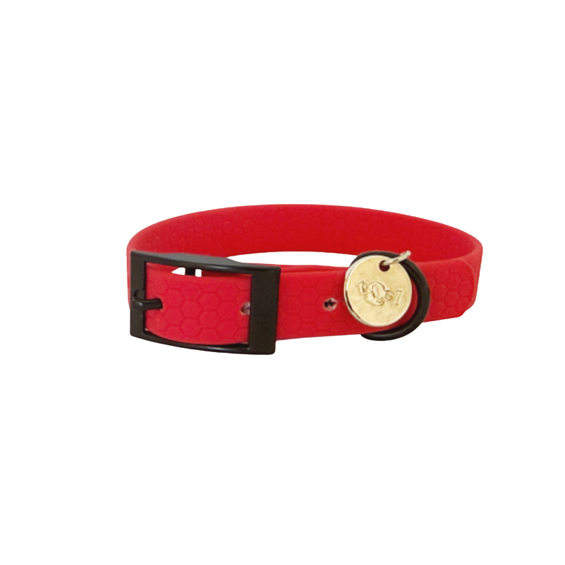 collar para perros rojo
