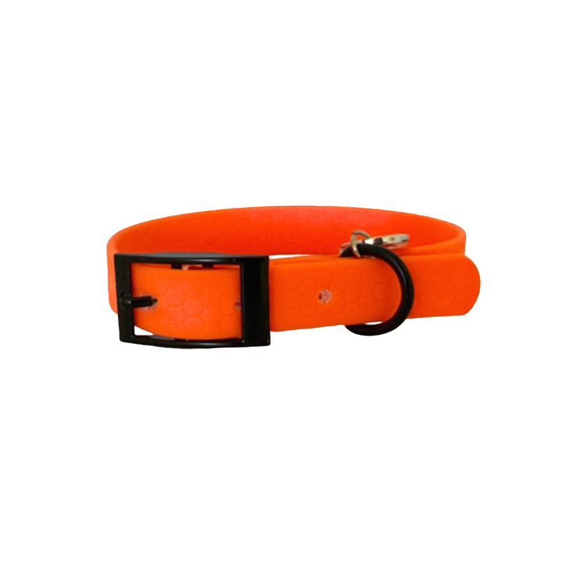 collar perro naranja