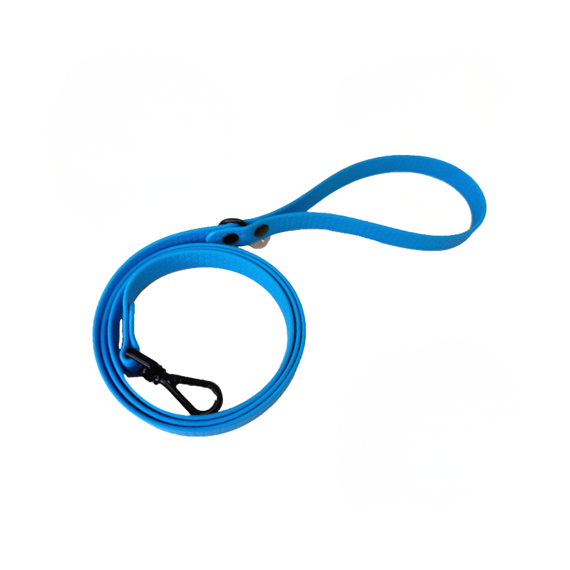 Correa para perros azul